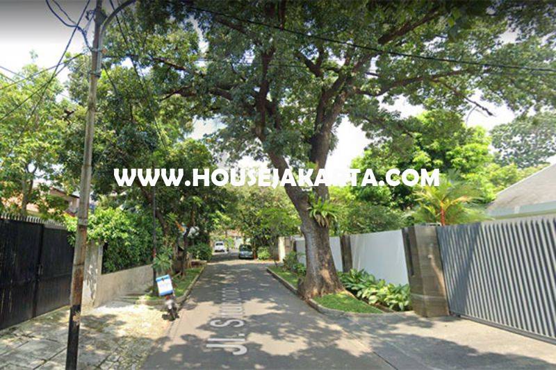 HS1450 Rumah Bagus Jalan Situbondo Menteng Dijual ada Pool 2 lantai Tanah Persegi dekat Taman